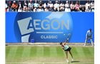BIRMINGHAM, ENGLAND - JUNE 14: Casey Dellacqua of Australia in action against Barbora Zahlavova Strycova of Czech Republic on day six of the Aegon Classic at Edgbaston Priory Club on June 13, 2014 in Birmingham, England. (Photo by Tom Dulat/Getty Images)